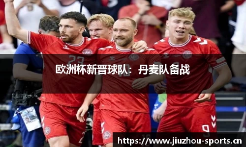 欧洲杯新晋球队：丹麦队备战