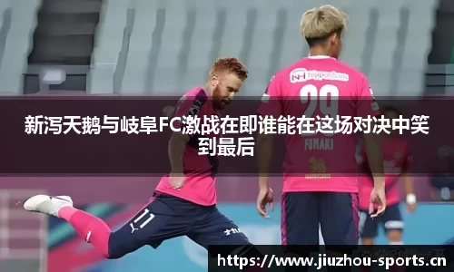新泻天鹅与岐阜FC激战在即谁能在这场对决中笑到最后